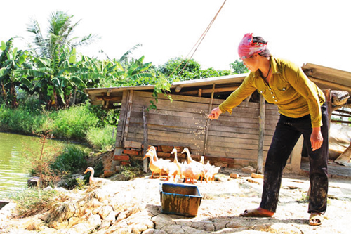 Giúp nông dân thoát nghèo bền vững ảnh 1